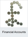 Financial Accounts